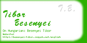 tibor besenyei business card